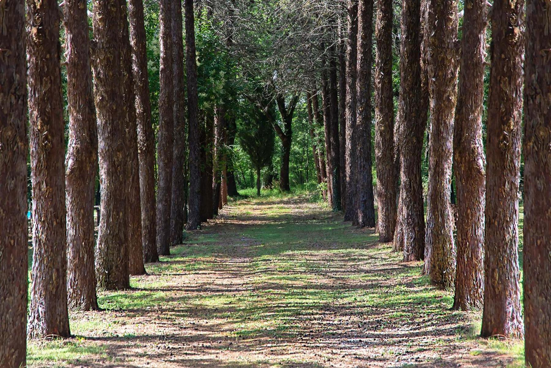 Agriturismo Villa Alari Четона Екстер'єр фото